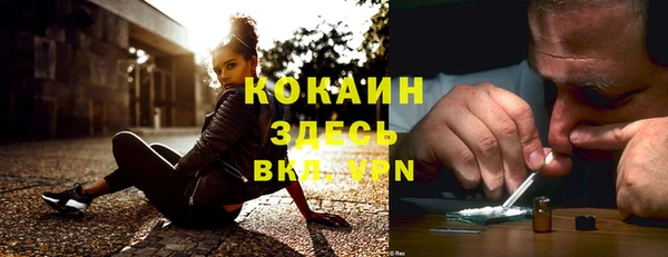 ПСИЛОЦИБИНОВЫЕ ГРИБЫ Балабаново